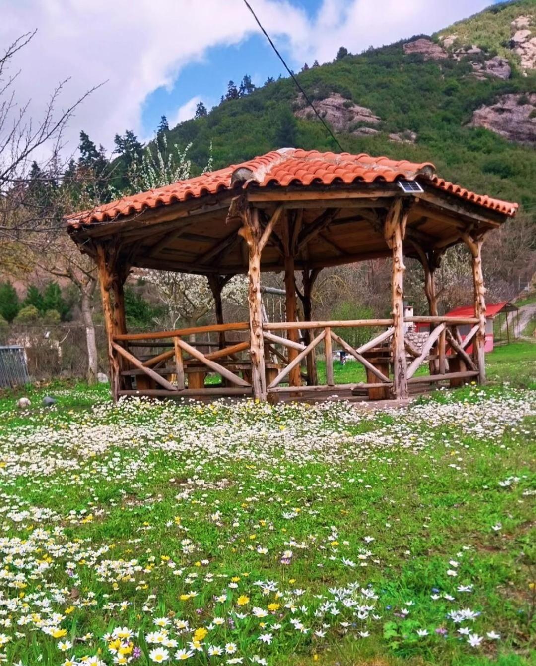 Michel Studios Kalavryta Exterior photo